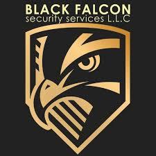 Black Falcon